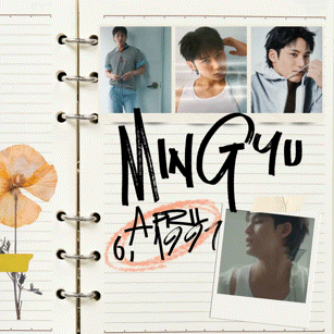 A moment captured by Mingyu (SEVENTEEN)'s fan