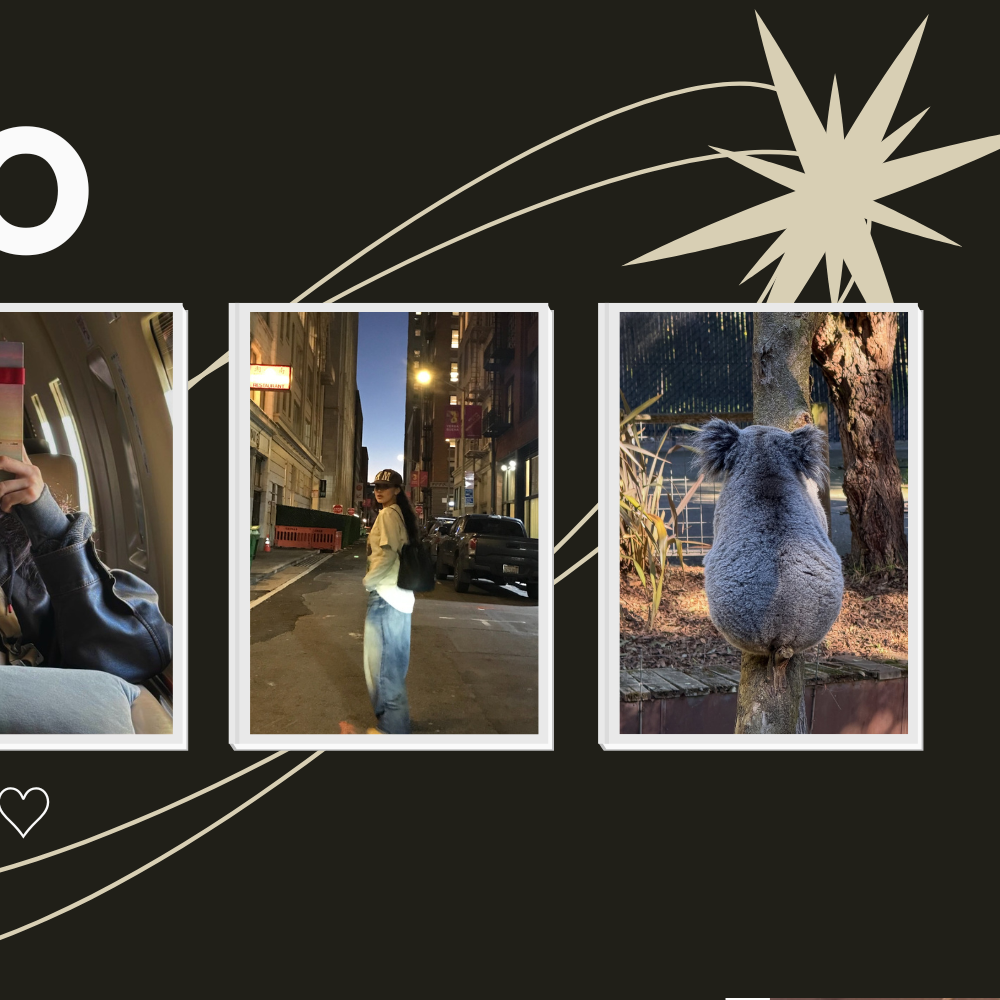 지효 (TWICE) 최근 활동샷