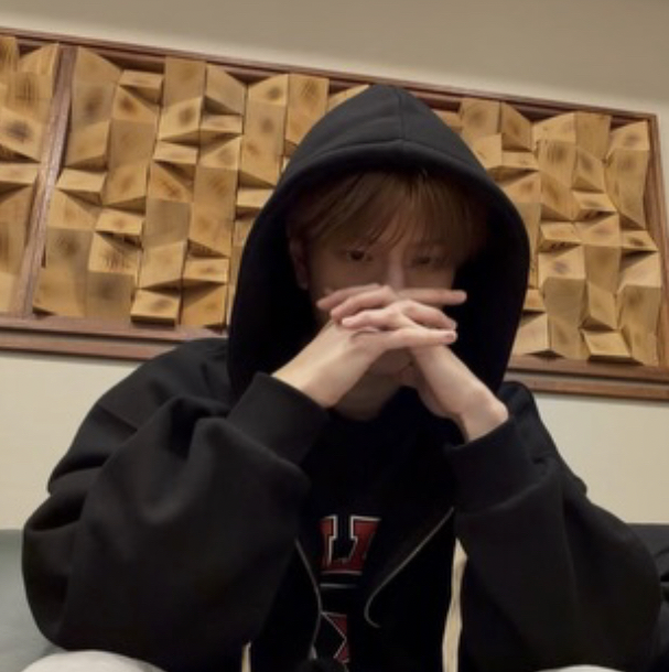 Stray Kids 팬이 찍은 순간