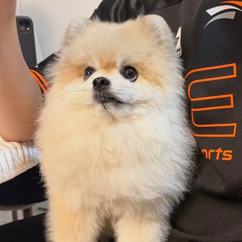 Behind-the-scenes cut of Moonbin (ASTRO)