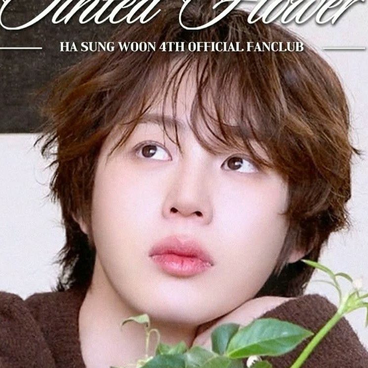 Latest photo of Ha Sungwoon