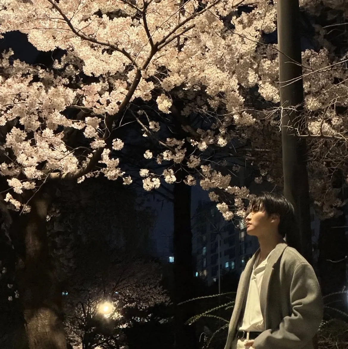 에이티즈 최근 활동샷