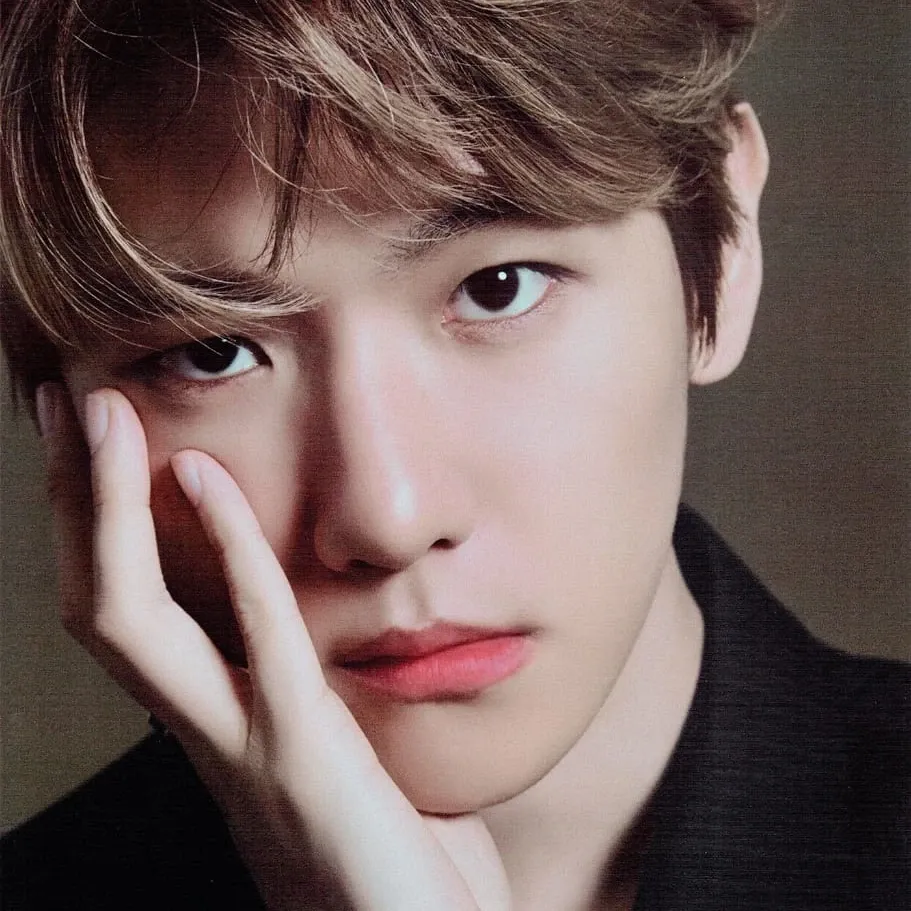 EXO 팬이 찍은 순간