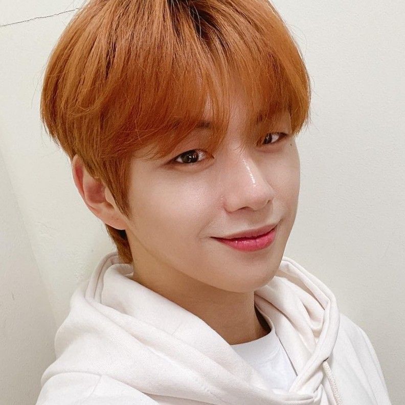 강다니엘 팬이 찍은 순간