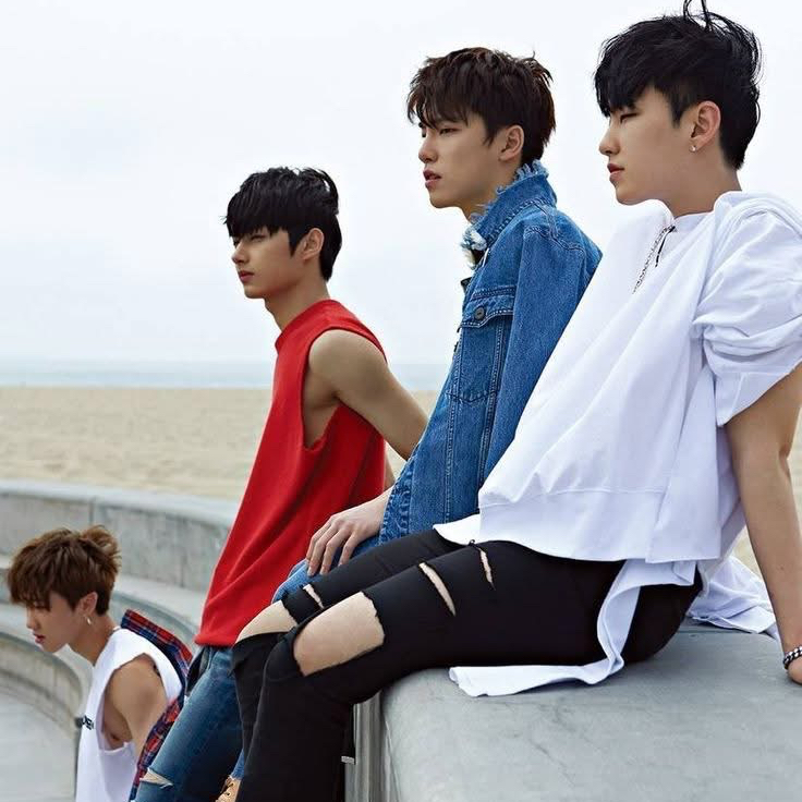 세븐틴 팬이 찍은 순간