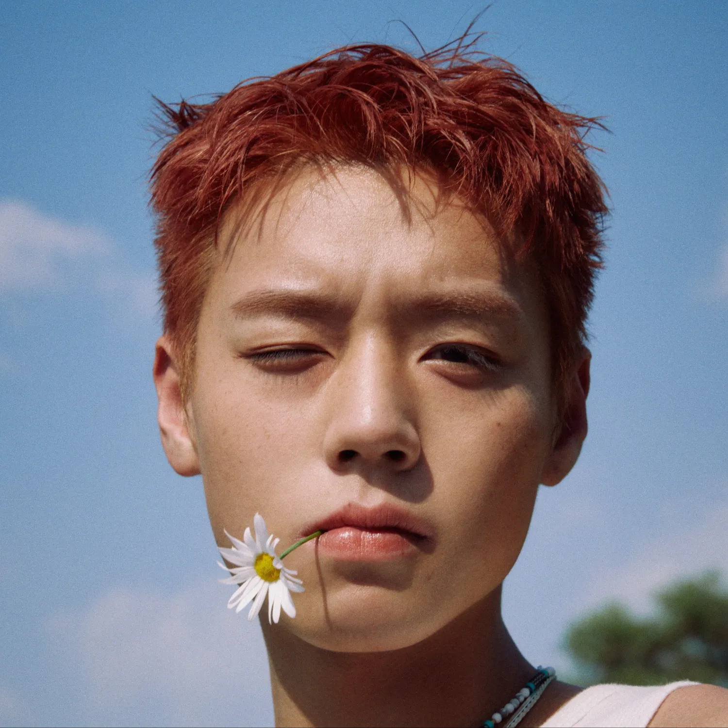 박지훈 팬이 찍은 순간