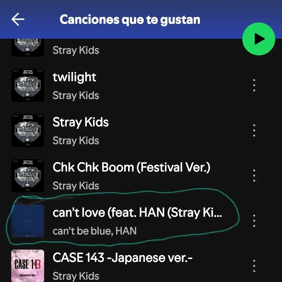 Recent activity shot of Stray Kids