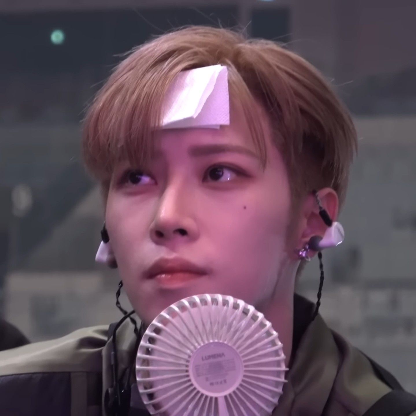 Latest photo of Arno (ALPHA DRIVE ONE)