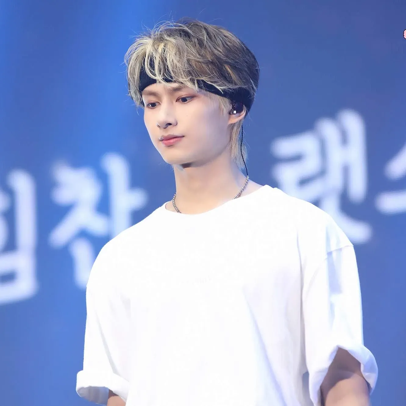 세븐틴 팬이 찍은 순간