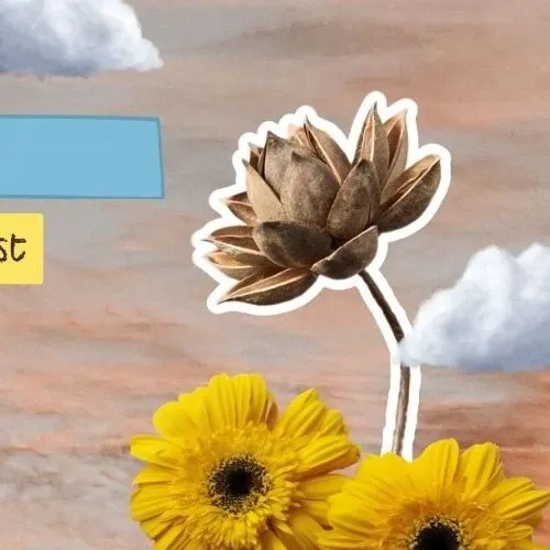 Foto aktivitas terbaru Yoohyeon (DREAMCATCHER)