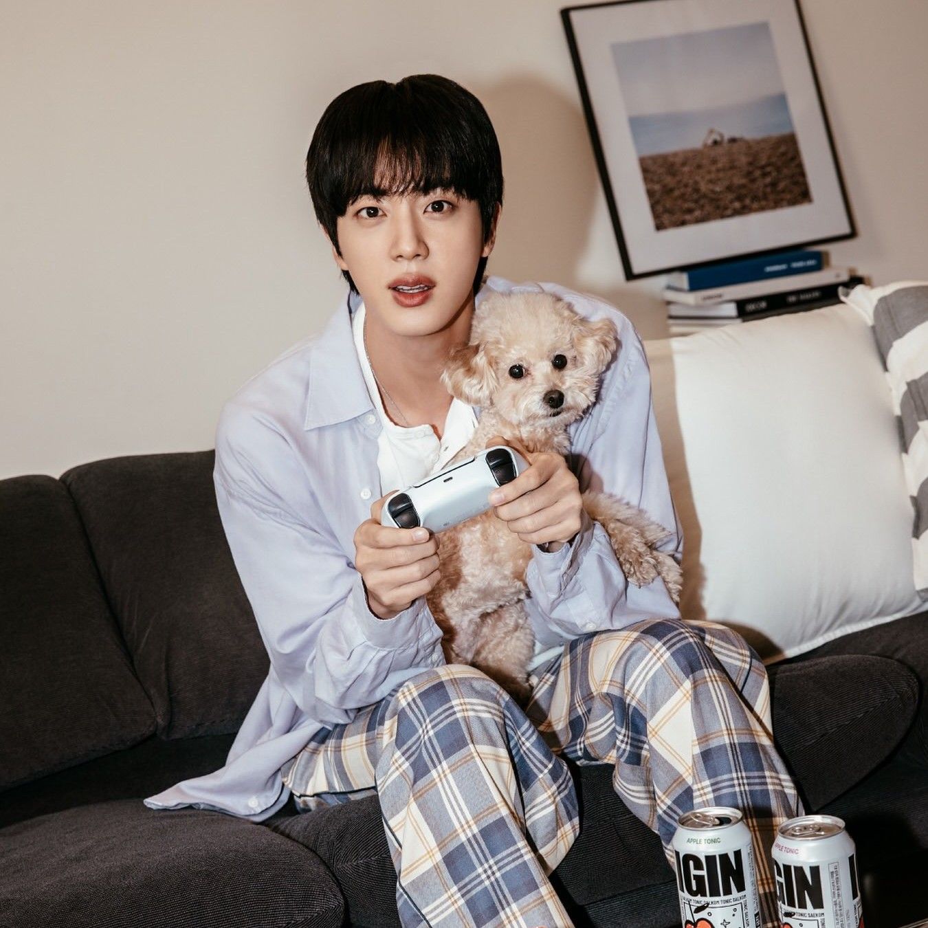 A moment captured by Jin (BTS)'s fan