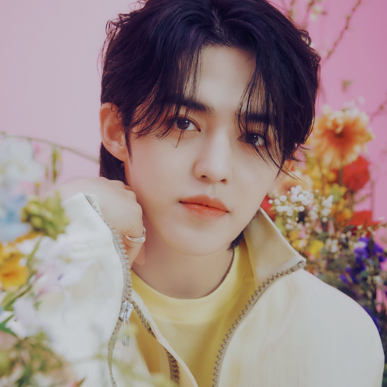 Foto terbaru SEVENTEEN