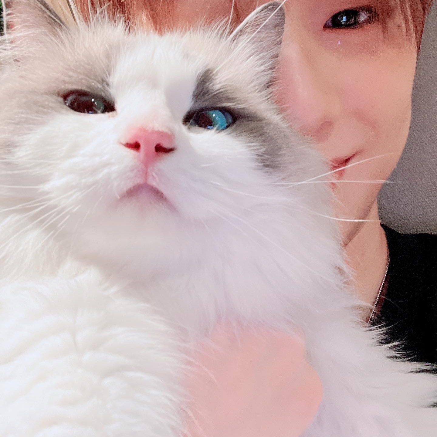 カン・ダニエルファンが撮った瞬間