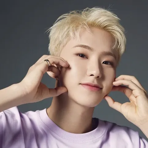 Recent activity shot of Hoshi (SEVENTEEN)