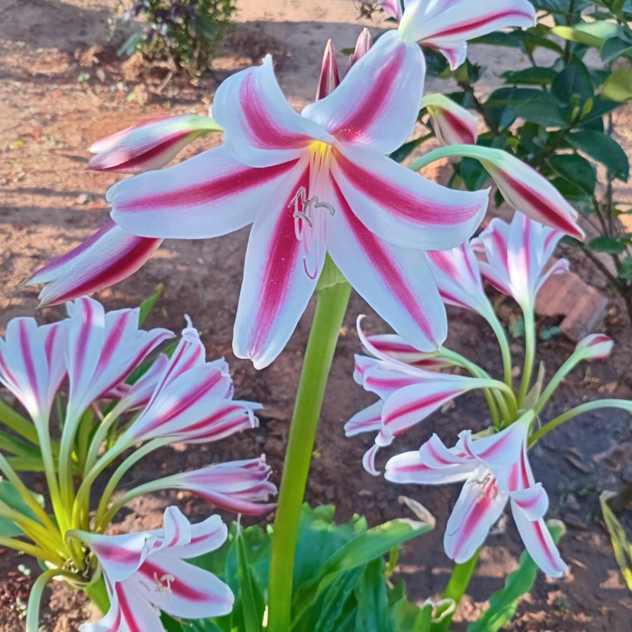 몬스타엑스 팬이 찍은 순간