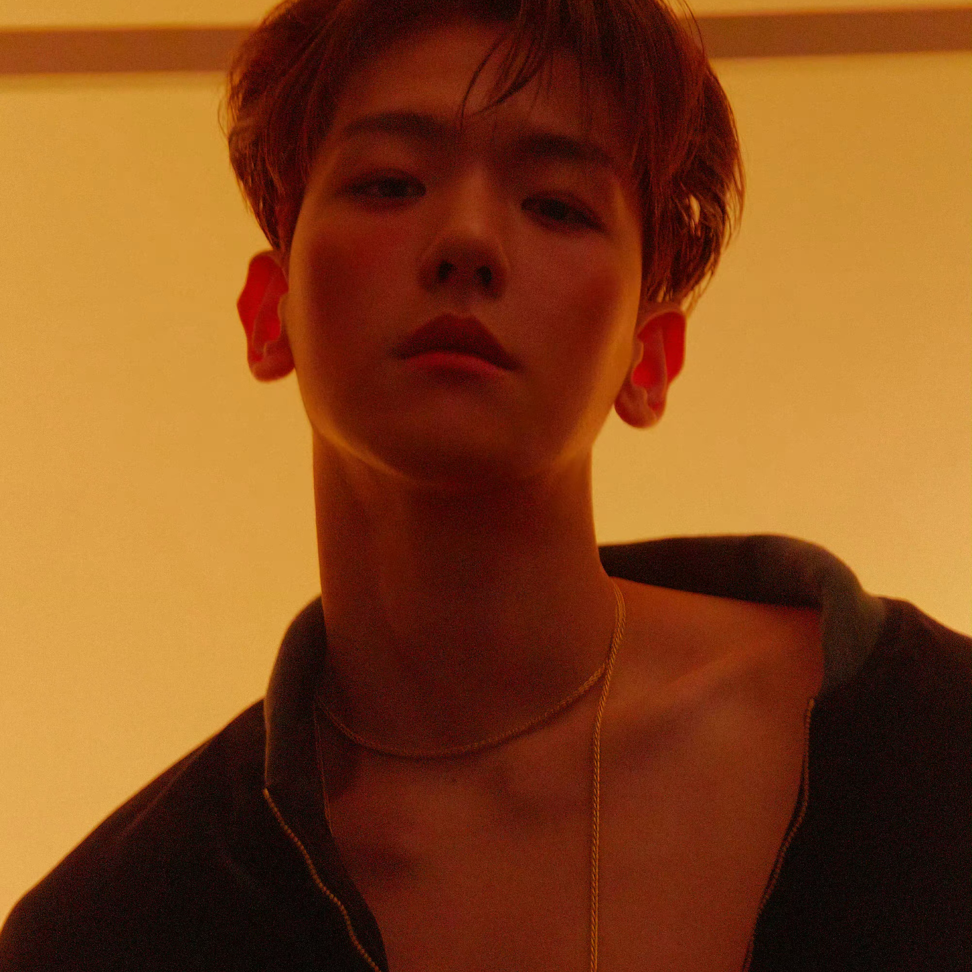 伯賢 (EXO)的幕後花絮