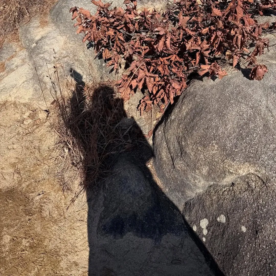 Latest photo of Hanbin (TEMPEST)