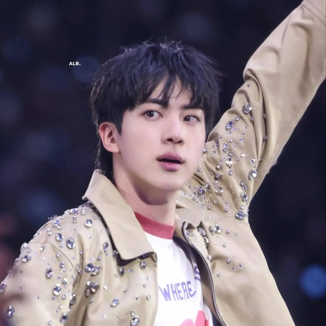 A moment captured by Jin (BTS)'s fan