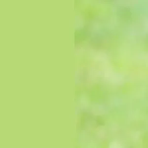 Recent activity shot of Hwasa (MAMAMOO)