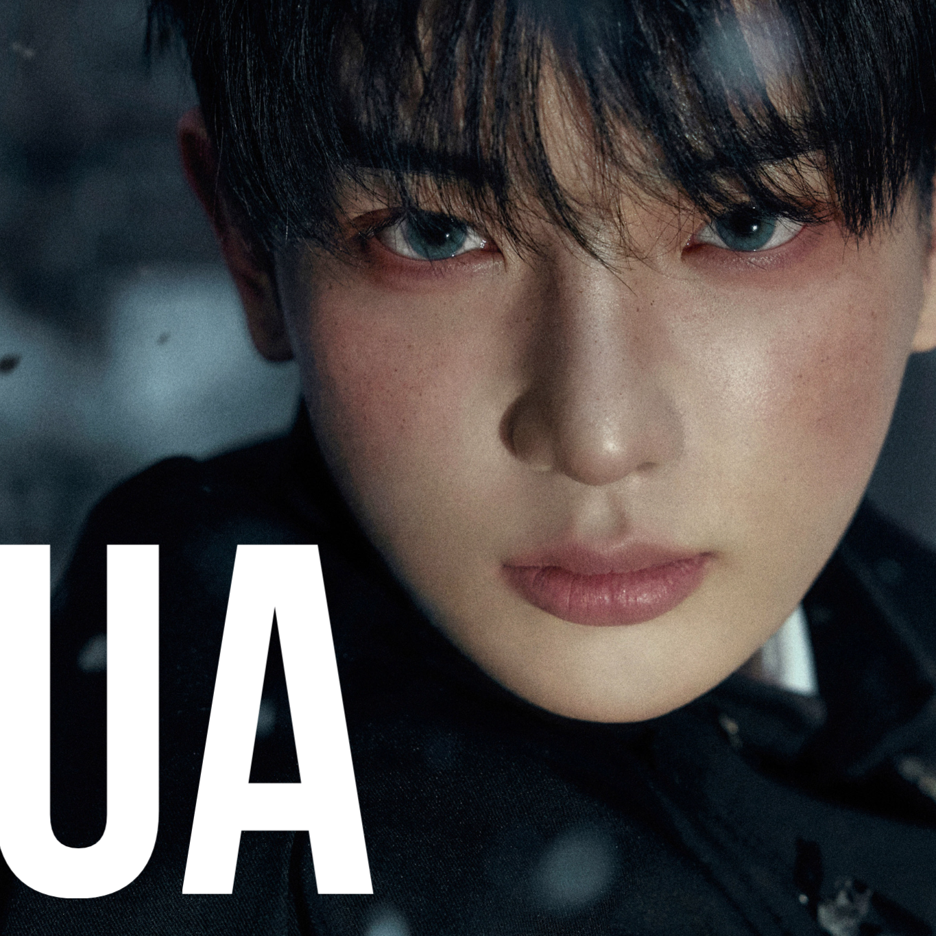 Momen yang diabadikan oleh penggemar Harua (&TEAM)