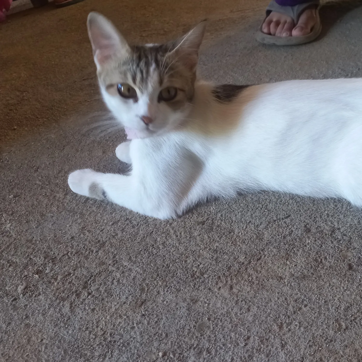 A moment captured by EXO's fan