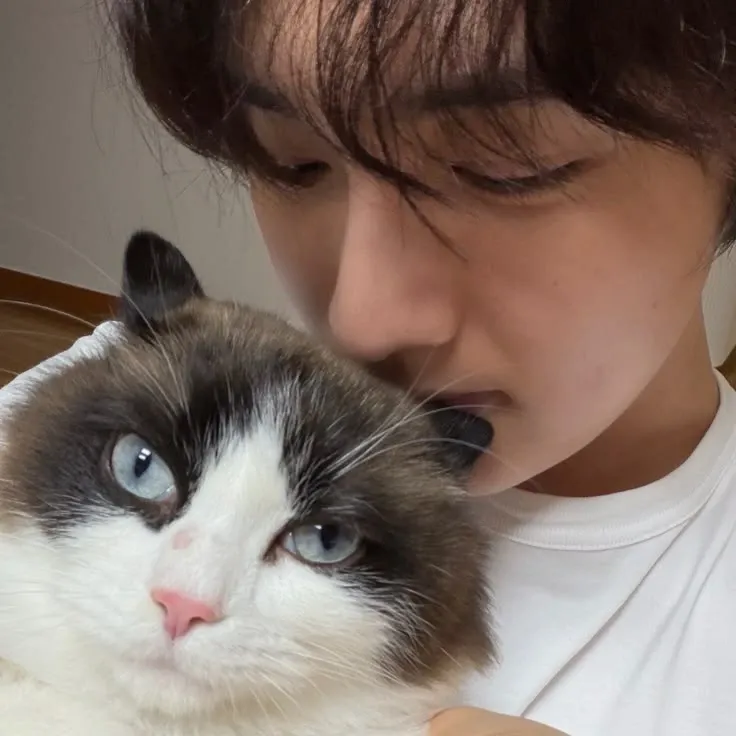 A moment captured by Hyunsuk (CIX)'s fan