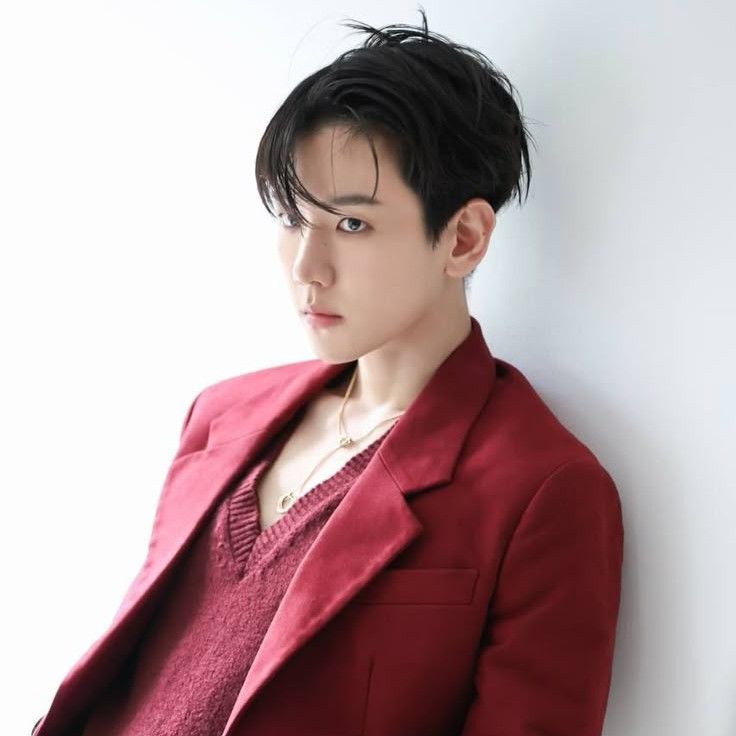 伯賢 (EXO)的最新照片