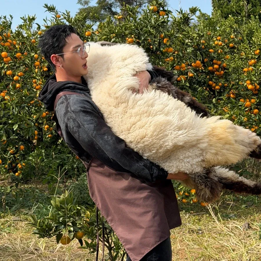 백호의 최신 사진