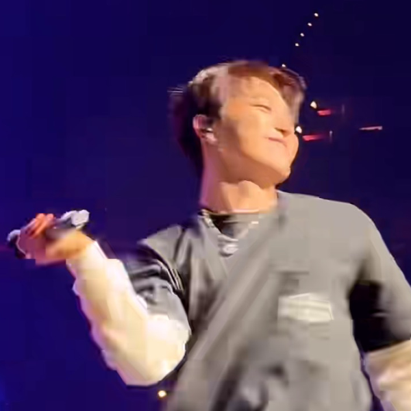 粉丝喜爱的Dino (SEVENTEEN)人气头像