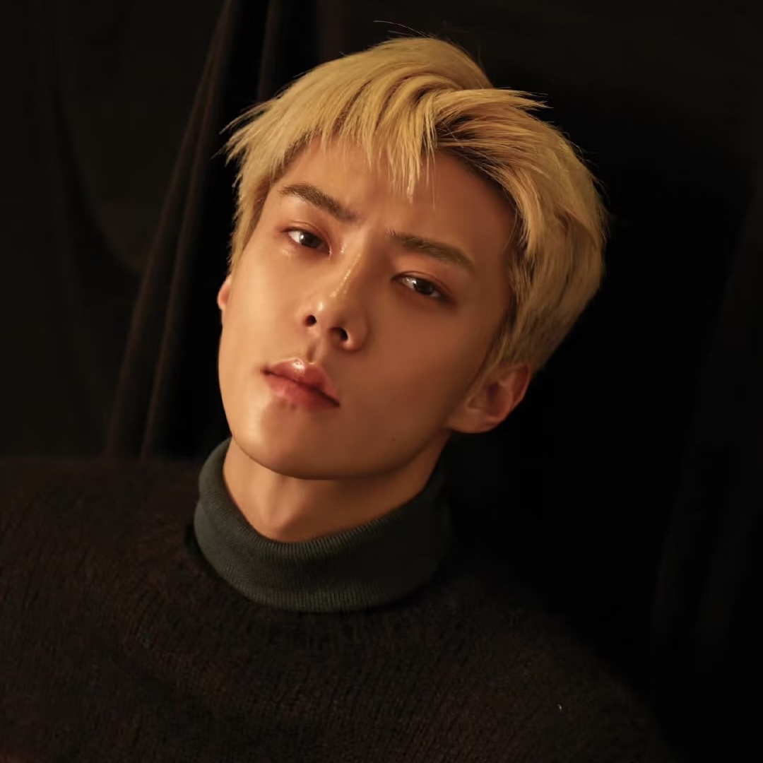 セフン (EXO)ファンが撮った瞬間