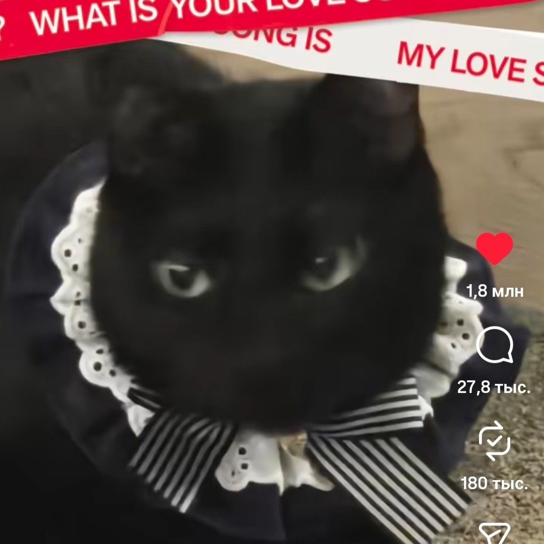 SUGA (BTS)の最近の活動写真