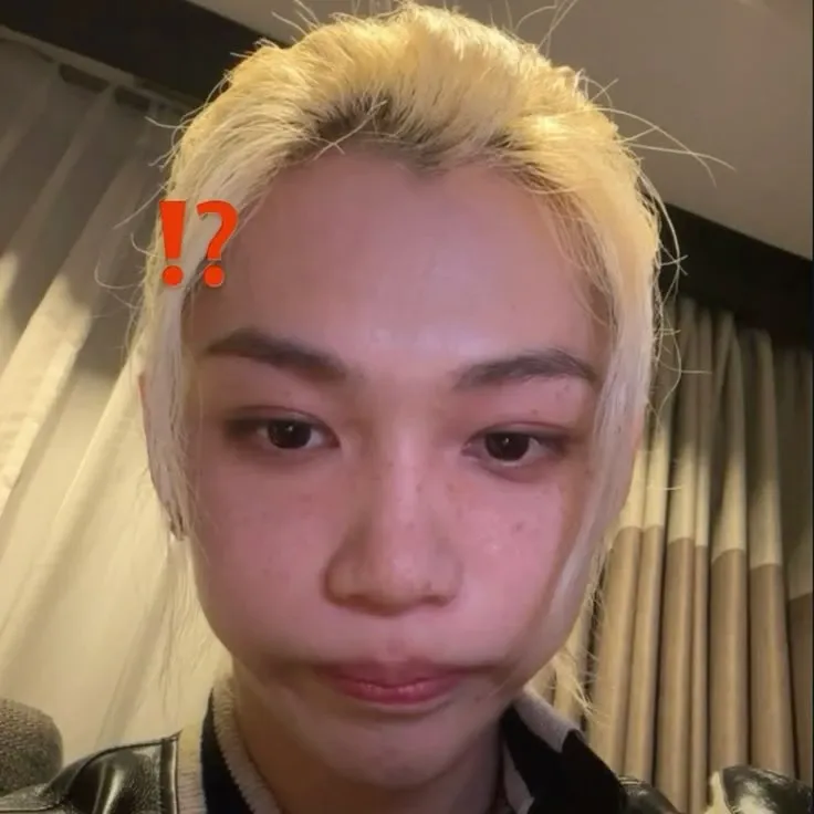 フィリックス (Stray Kids)の最近の活動写真