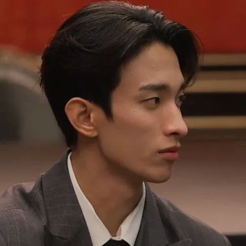 A moment captured by SEVENTEEN's fan