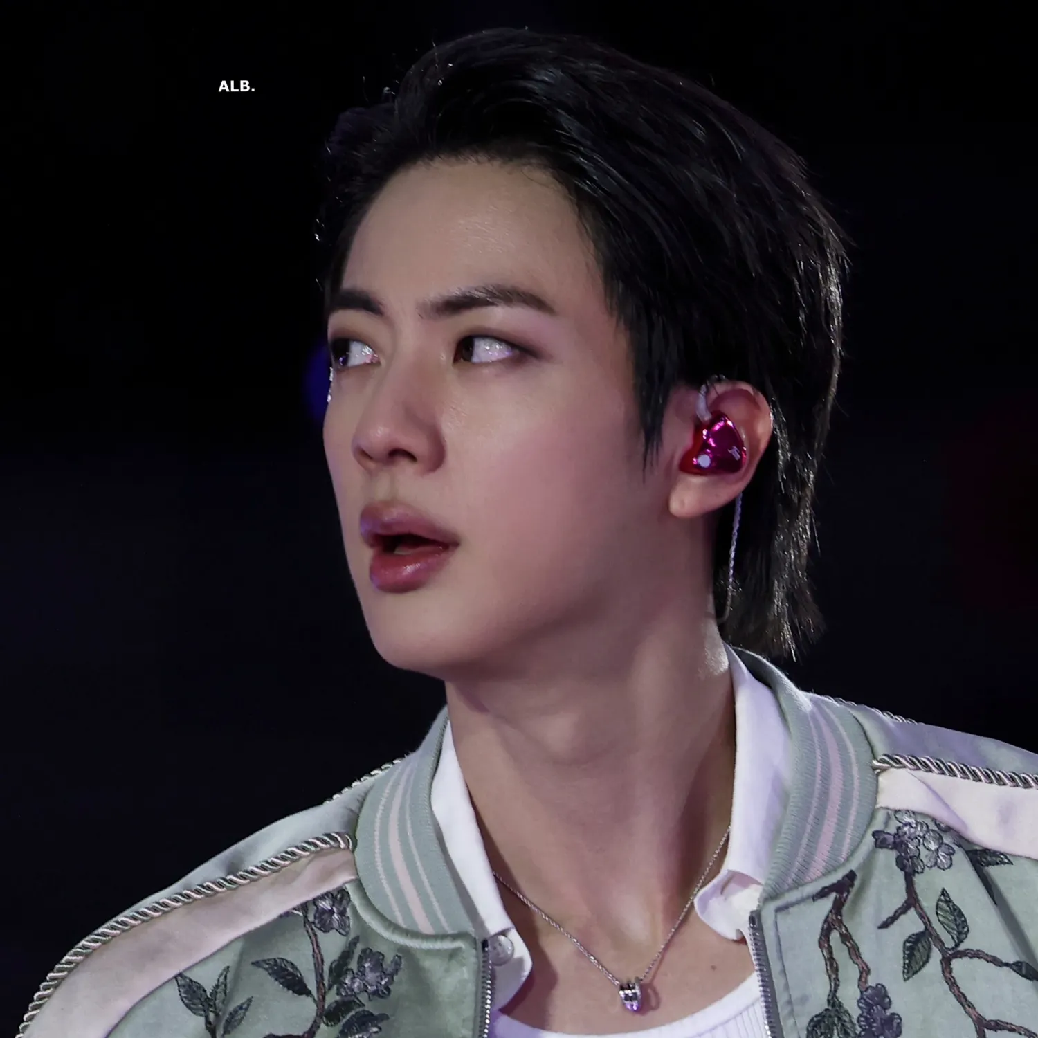 A moment captured by Jin (BTS)'s fan