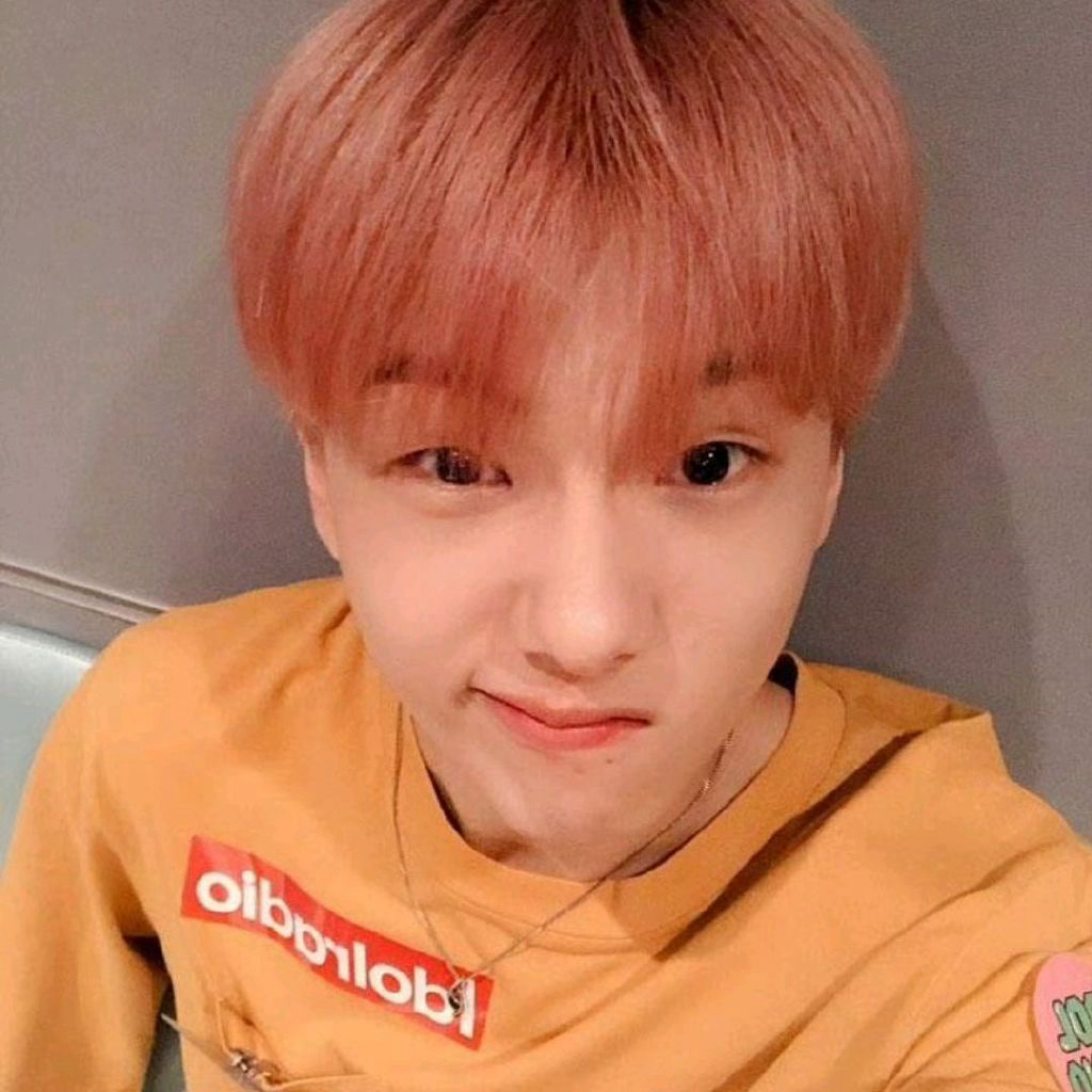 志晟 (NCT DREAM)粉丝拍下的瞬间