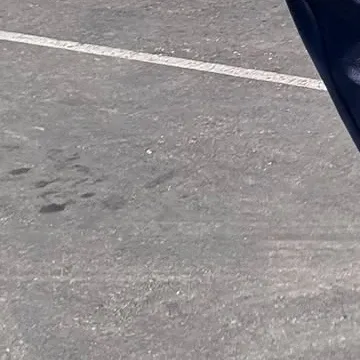 Behind-the-scenes cut of Jeong Yein (Lovelyz)