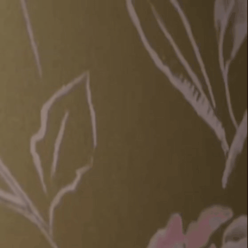 Recent activity shot of Xiao Zhan