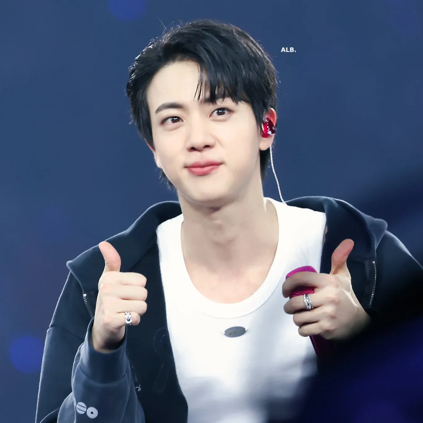 A moment captured by Jin (BTS)'s fan