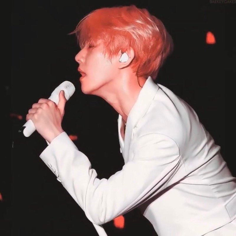 伯賢 (EXO)的最新活動照片