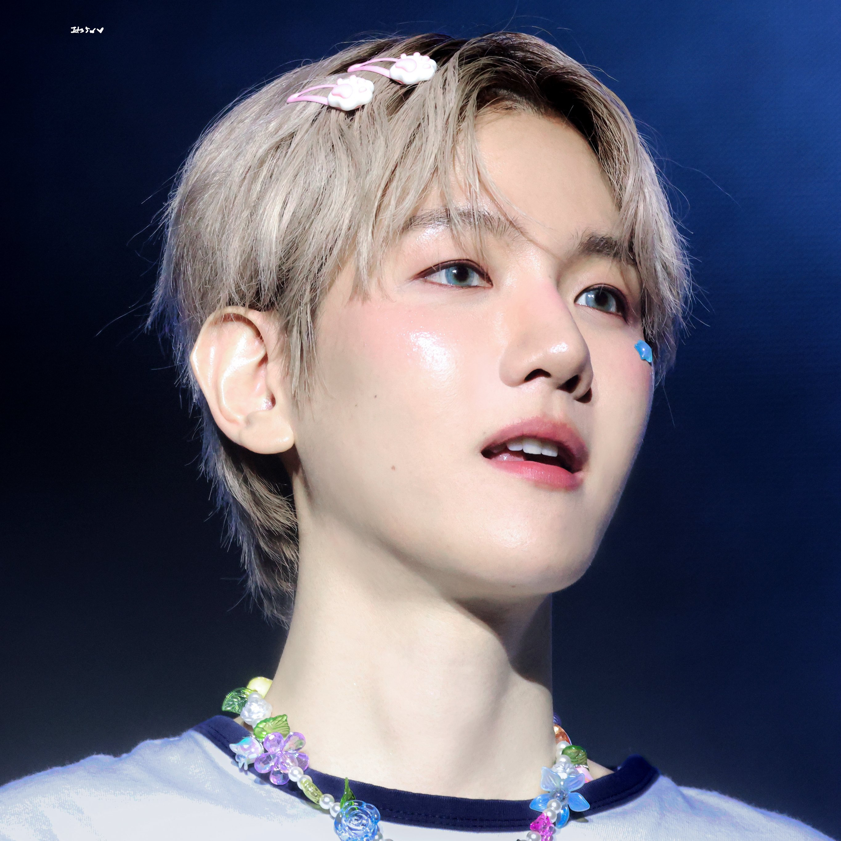 伯賢 (EXO)粉絲拍下的瞬間