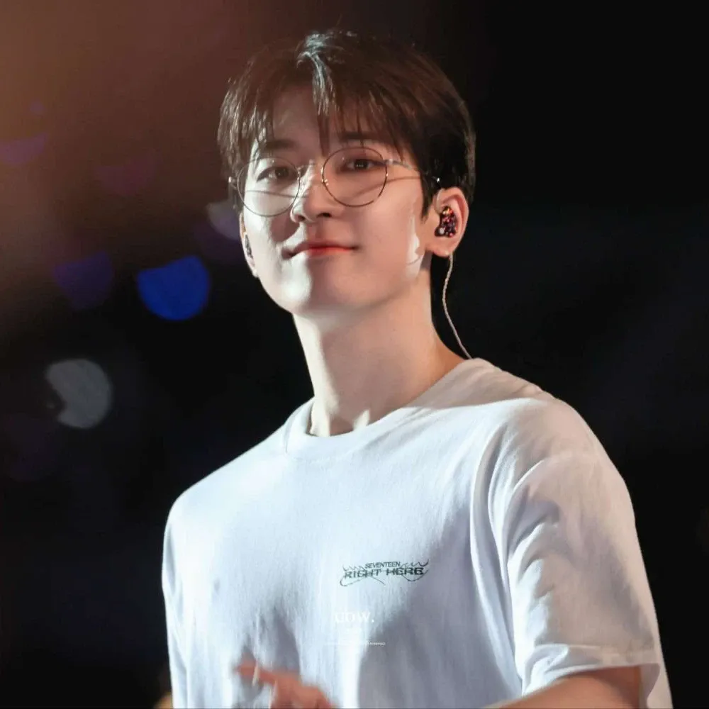 원우 (세븐틴) 팬이 찍은 순간