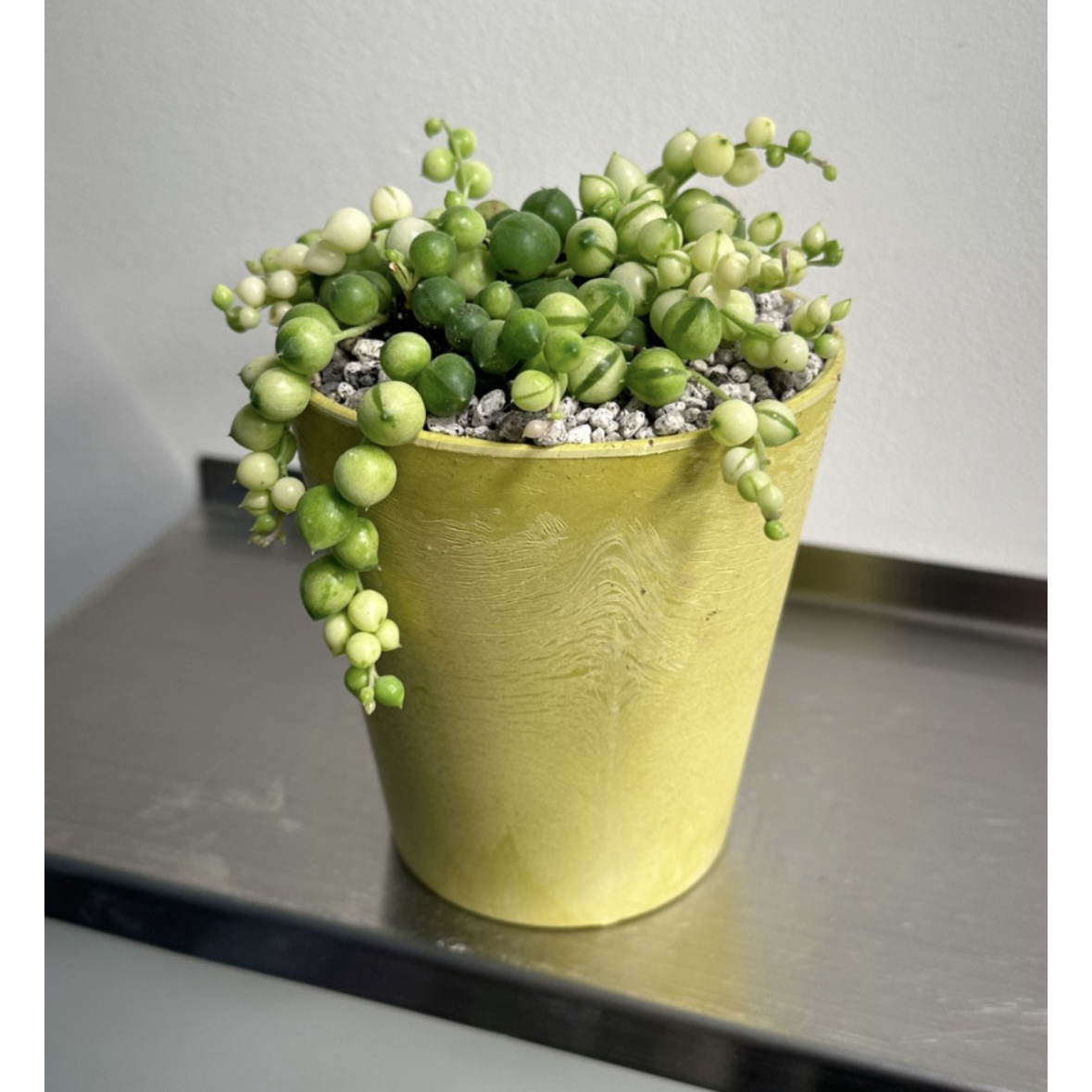 Latest photo of Lee Daehwi (AB6IX)