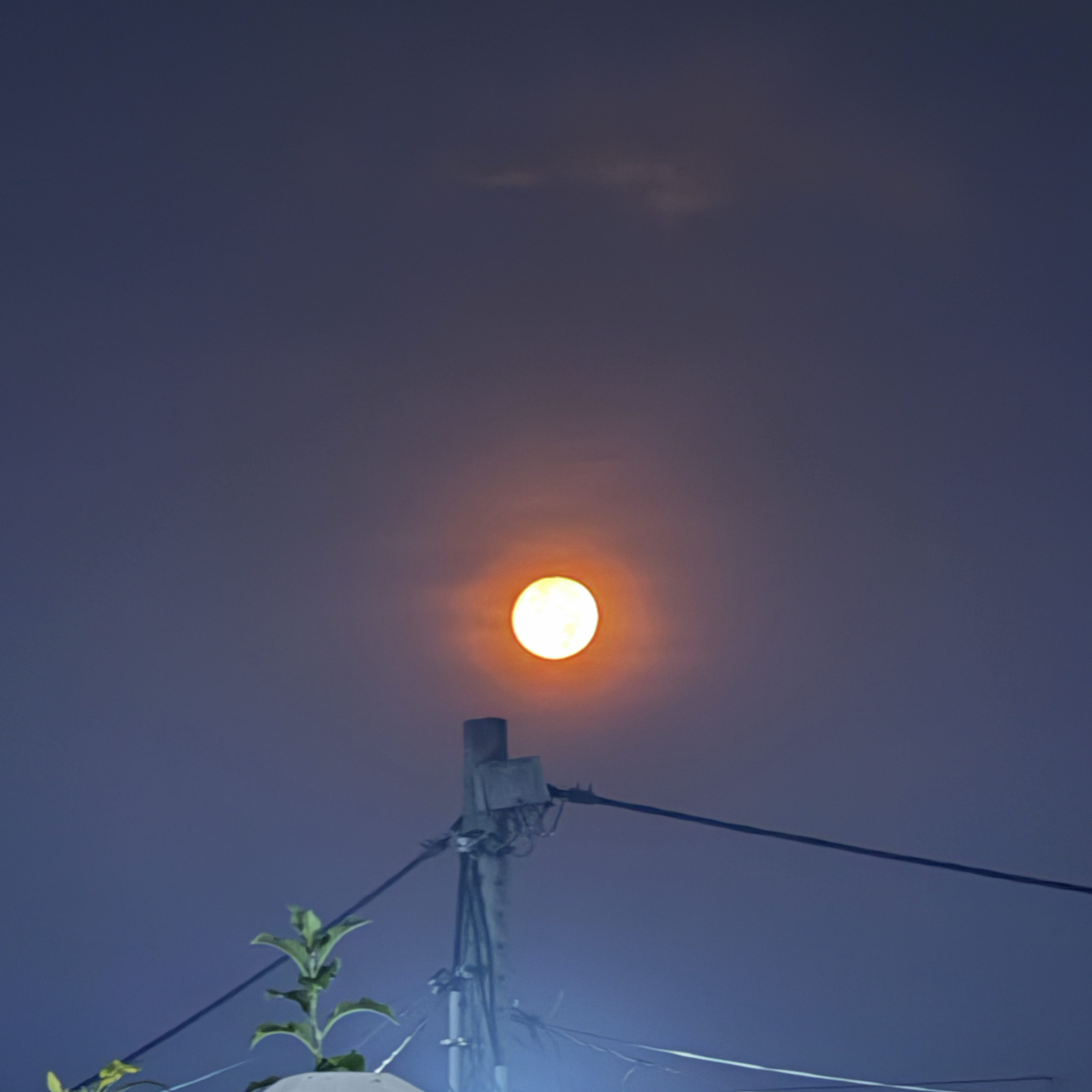 Recent activity shot of NMIXX