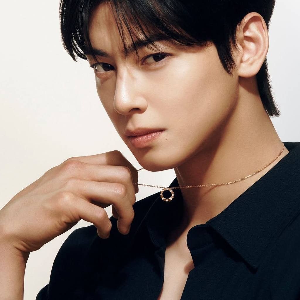 A moment captured by Eunwoo (ASTRO)'s fan