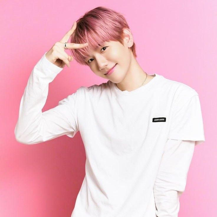 EXO 팬이 찍은 순간