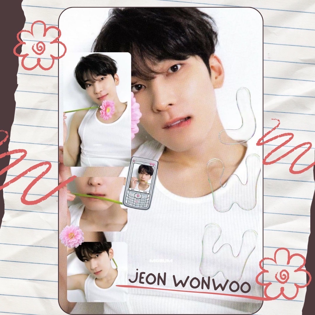 원우 (세븐틴) 팬이 찍은 순간