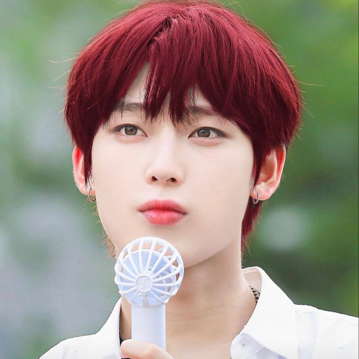 A moment captured by Sunoo (ENHYPEN)'s fan