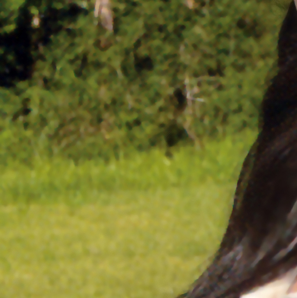 Latest photo of HyunJin (Loossemble)