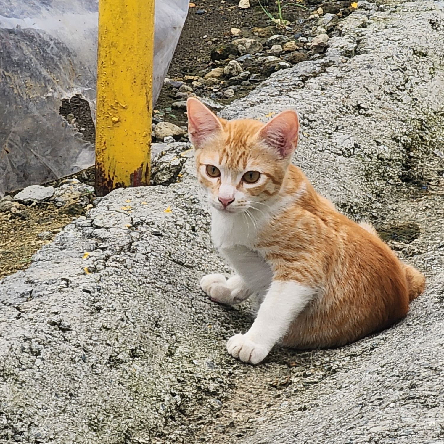 Latest photo of SEVENTEEN