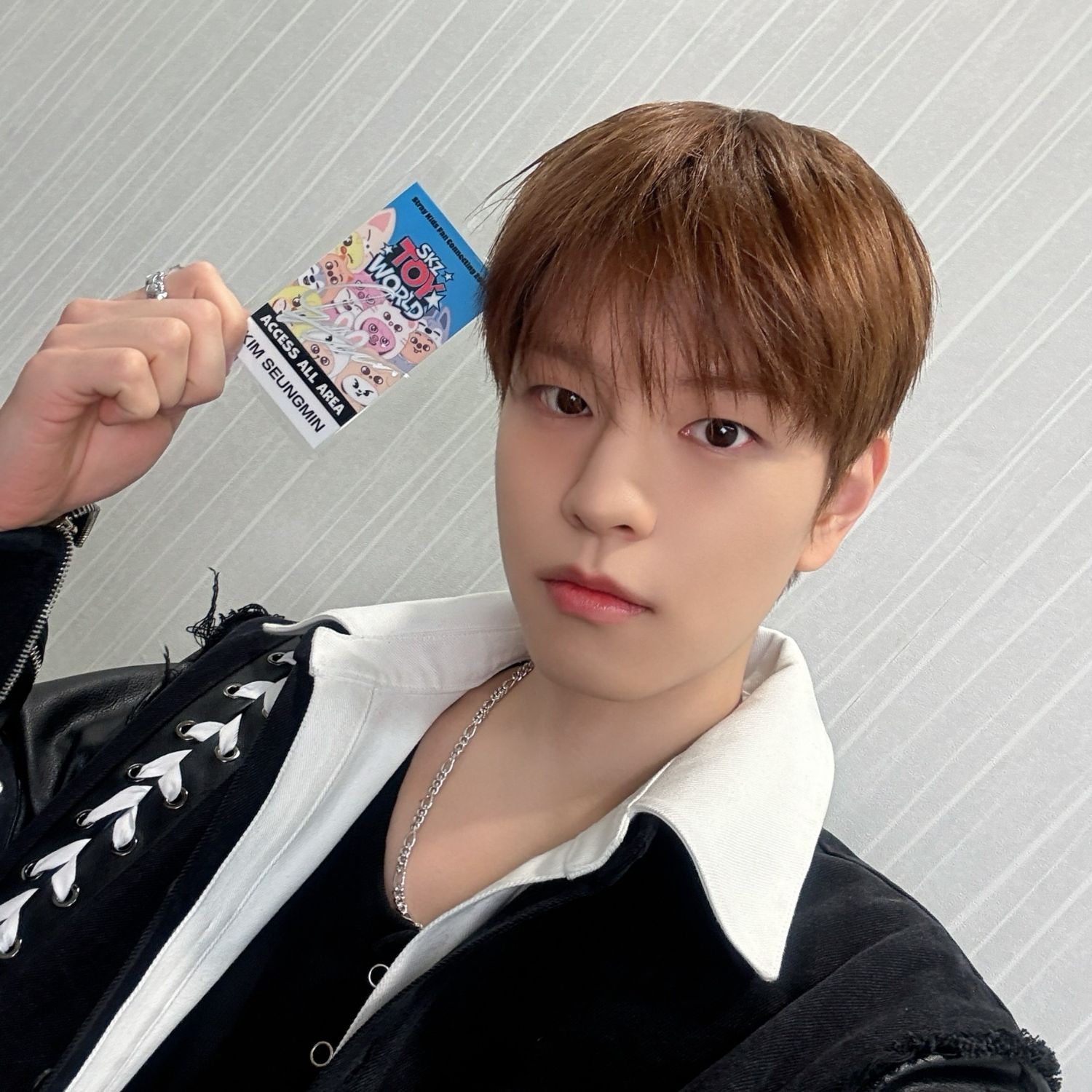 Stray Kids 팬이 찍은 순간